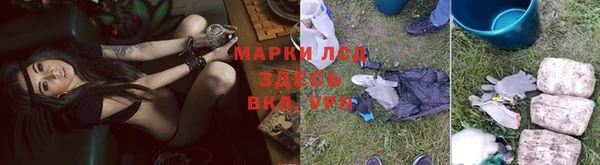 PSILOCYBIN Абинск